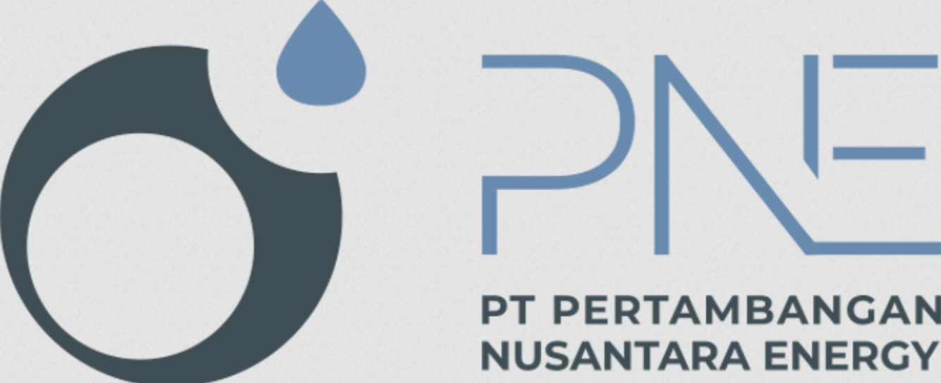 PNE logo
